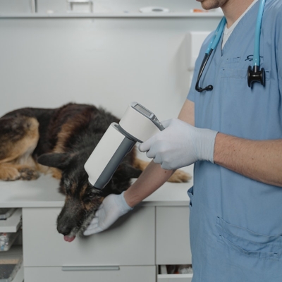 Consulta clinica veterinaria